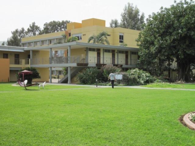 Nof Ginosar Kibbutz Hotel Rum bild